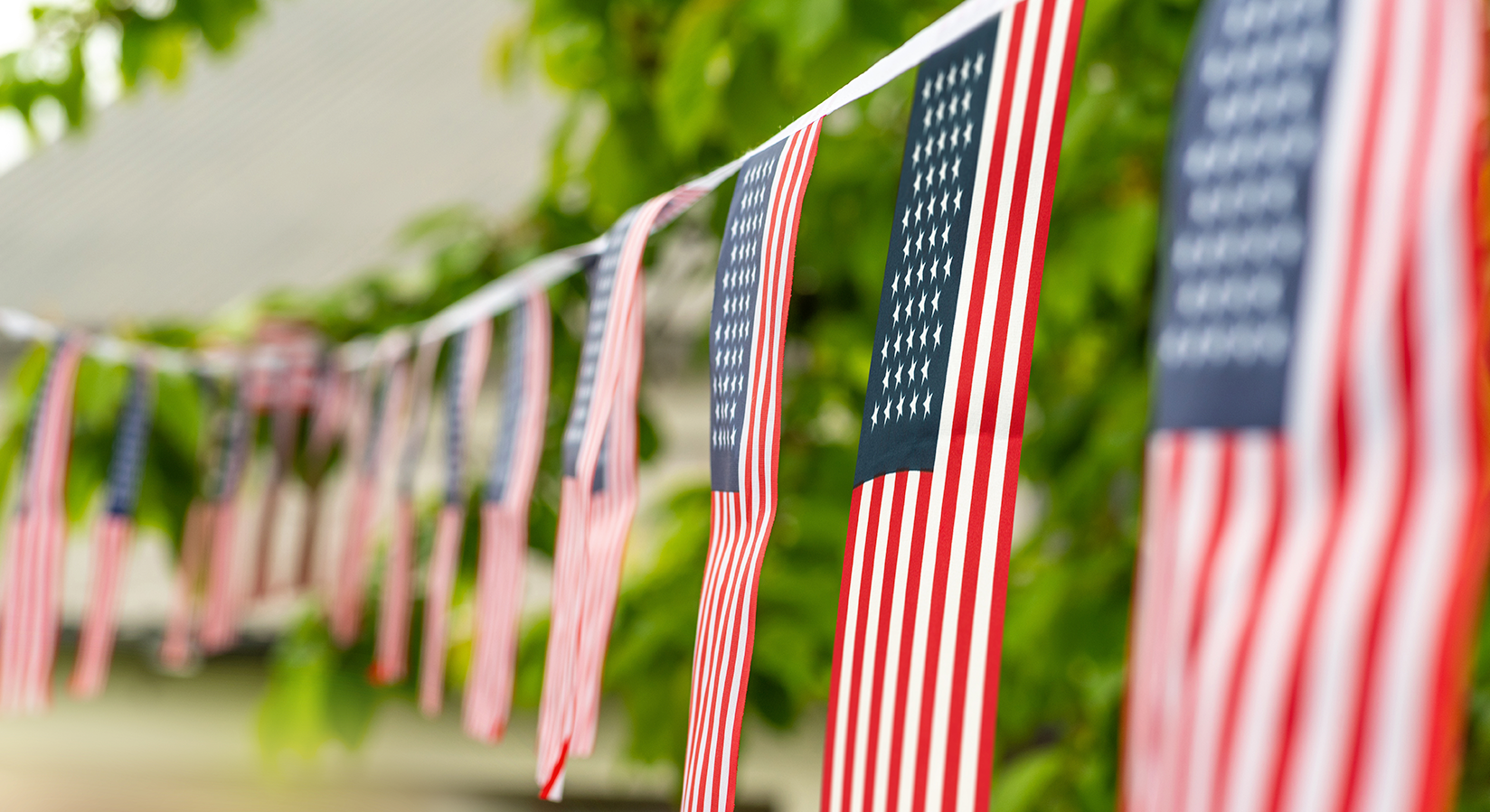 American flags in backyard